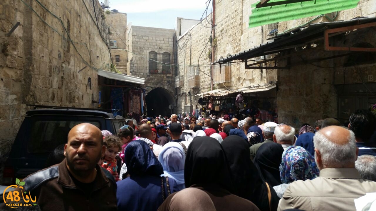 a7bab al aqsaa (15).jpg